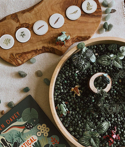 frogs sensory bin and learning materials