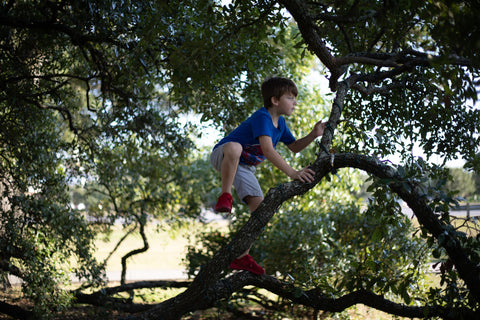 Kid in tree