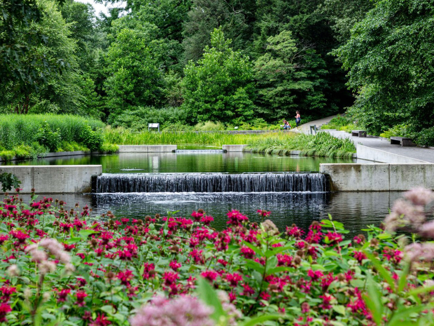 New York Botanical Garden