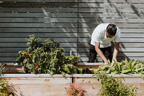 Gardening raised beds