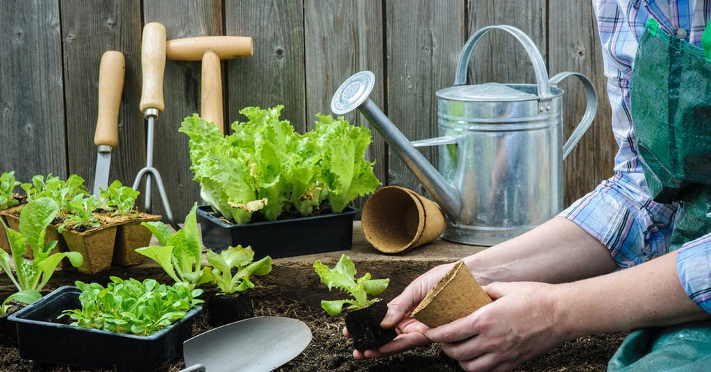 Essential Gardening Tools For Beginners