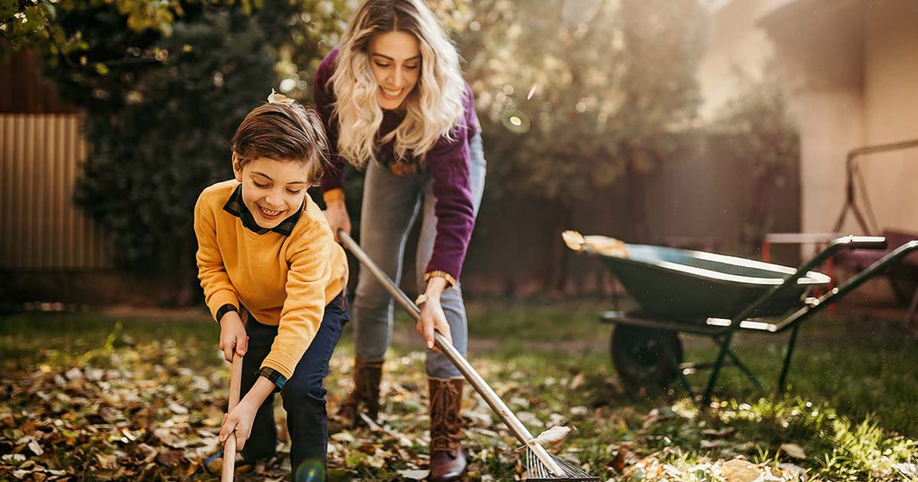 How To Get Your Lawn Or Yard Ready For Fall