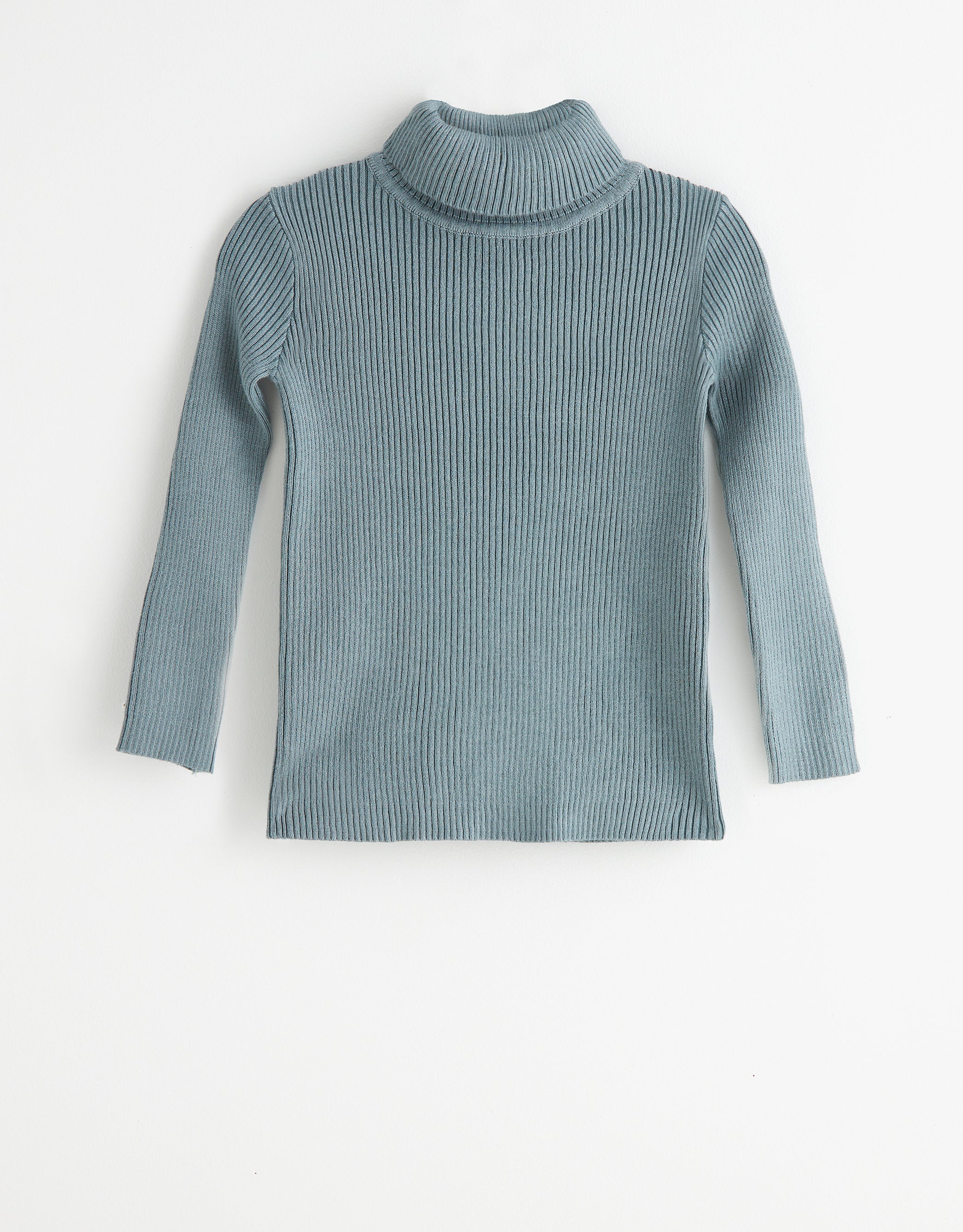 Kids Rib Knit Turtle Neck Sweater Sage