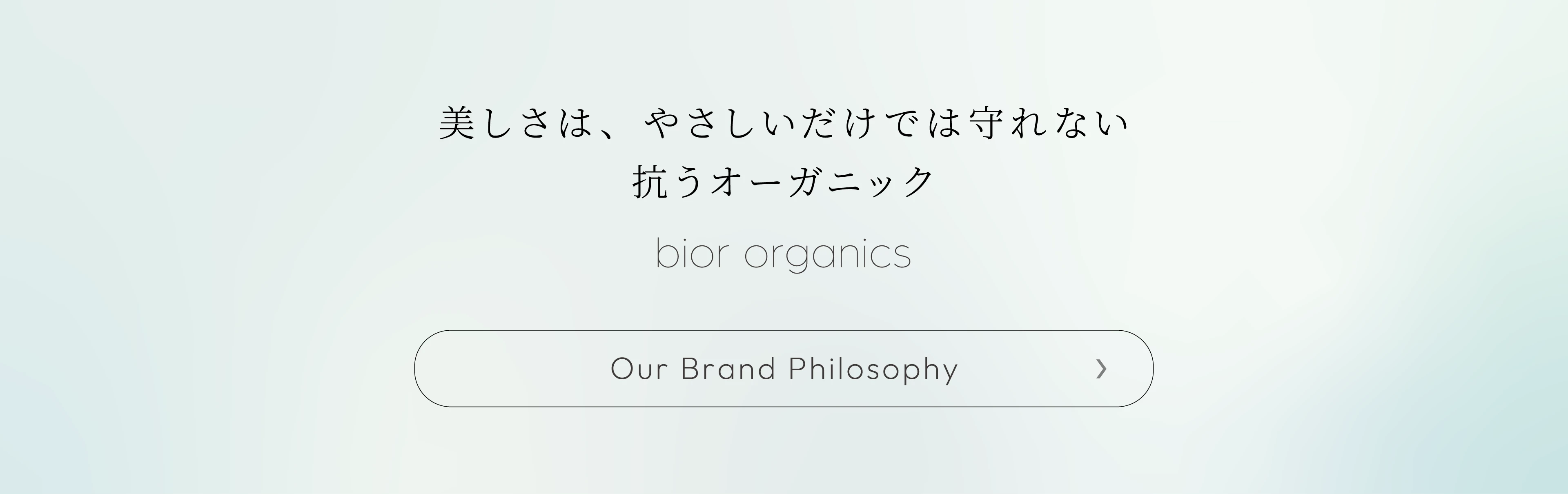 brand policy