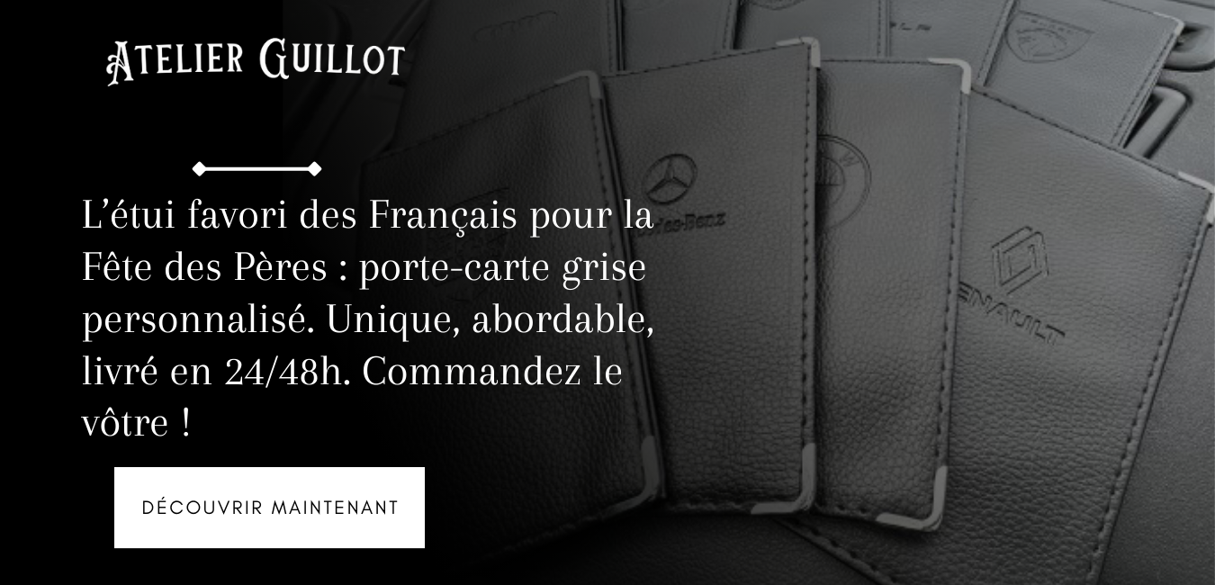 Pochette pour carte grise