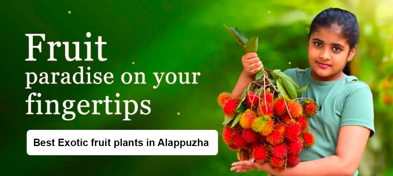Best Exotic fruit plats in Alappuzha