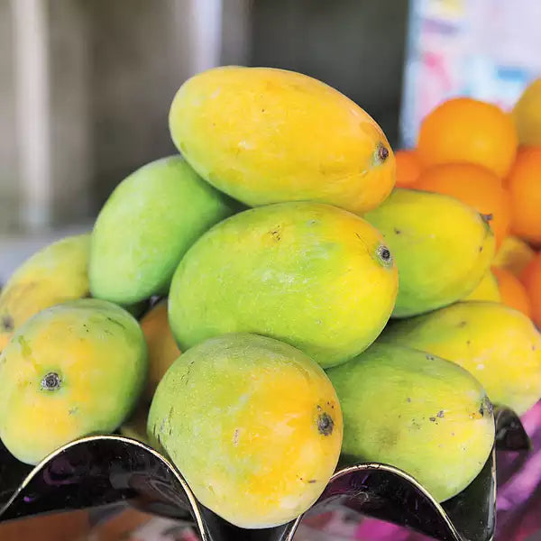 Mango season is in full bloom! #Kesarmango