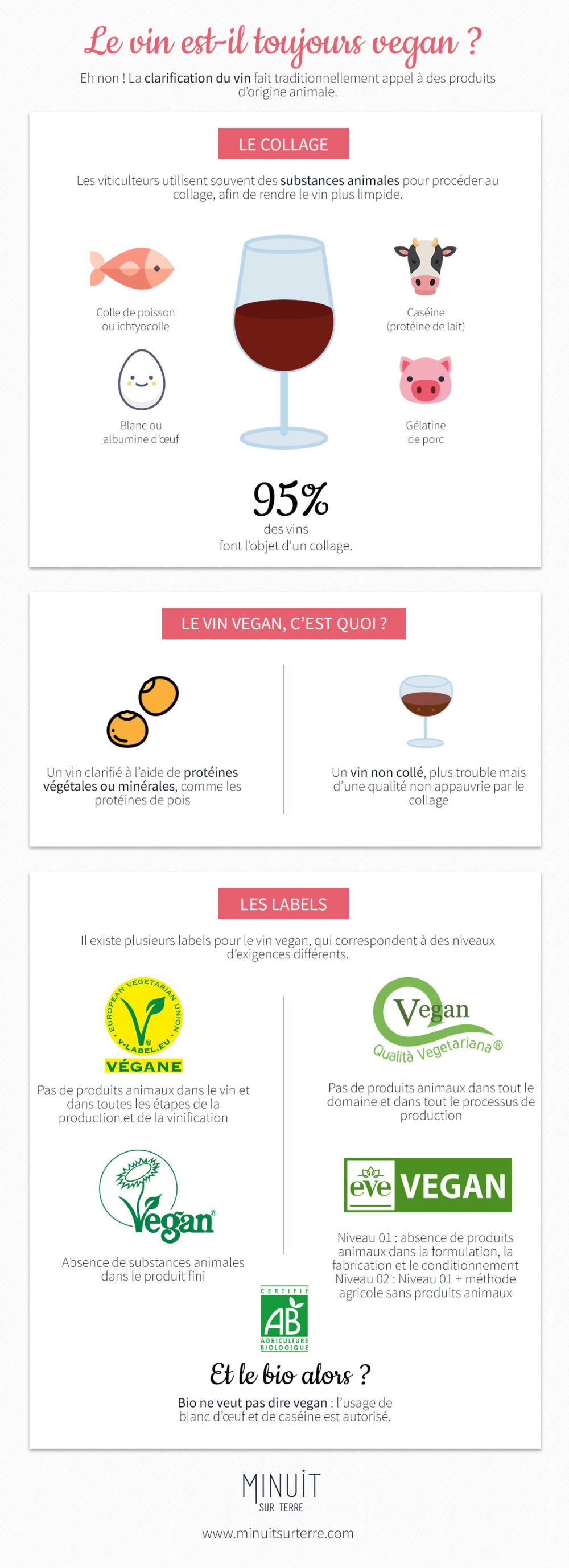 Infographie vin vegan