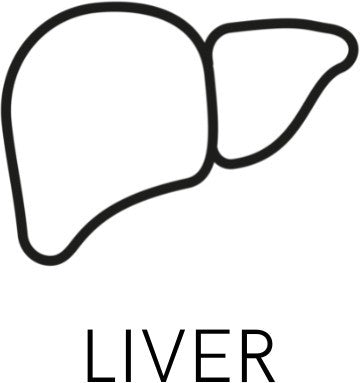 DR.VEGAN (Liver)