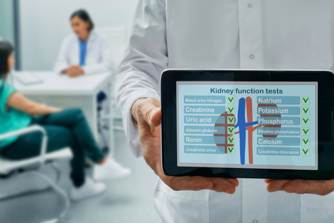 kidney function tests