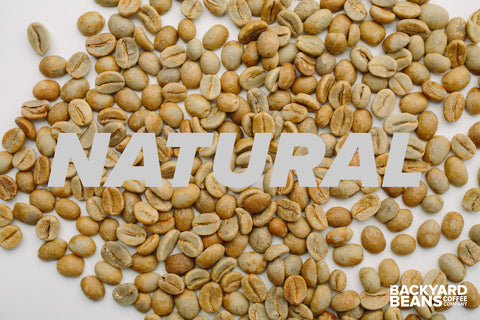 Image of what natural coffee looks like before roasting.