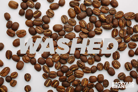 Image of washed coffee after roasting.