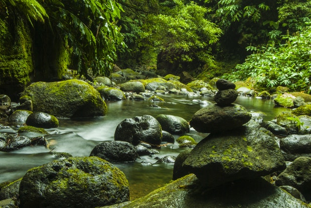 Steinhaufen Im Fluss, Umgeben Von Baum