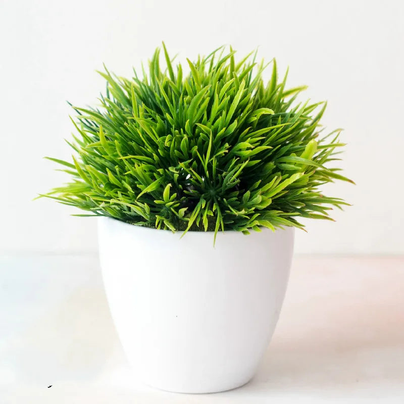 Product Image for Kleine Baumtopf Bonsai Pflanzen, fengweicao grün