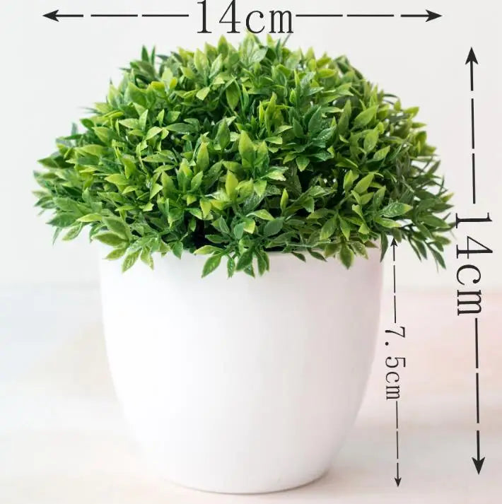 Product Image for Kleine Baumtopf Bonsai Pflanzen, zhuoyecao grün
