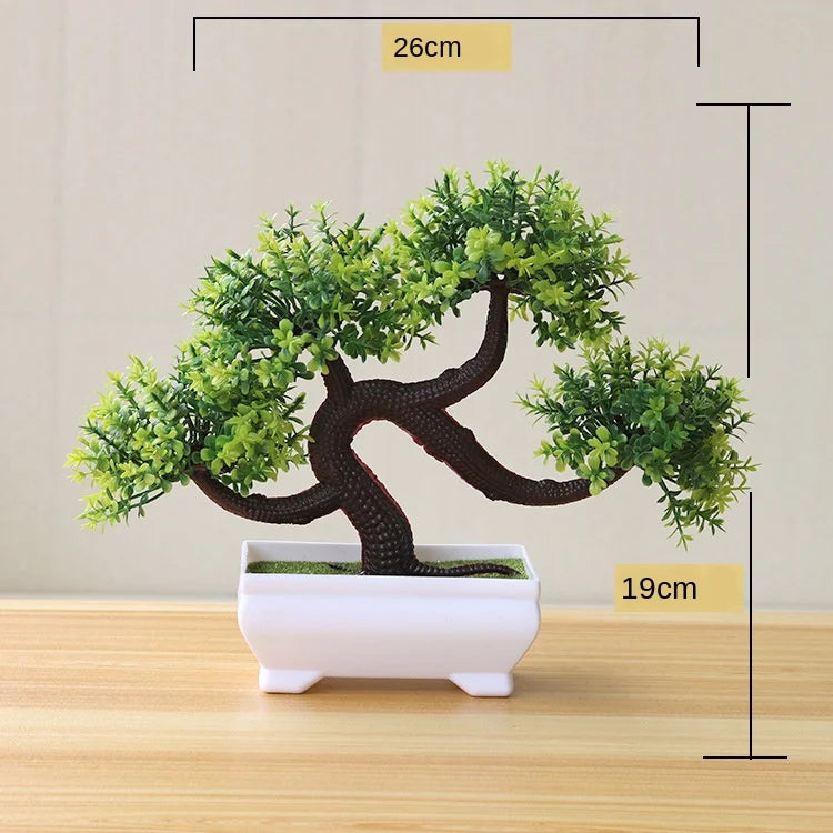 Product Image for Kleine Baumtopf Bonsai Pflanzen, longxushu grün