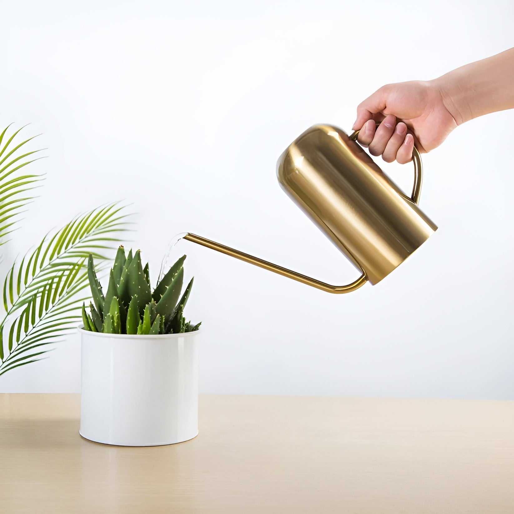 Product Image for Edelstahl-Ausgießer - 1,5L lange Gießkanne für Pflanzen und Blumen, Gold