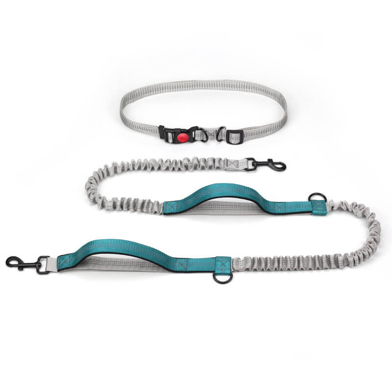 Product Image for Frendorf | Teleskopische Doppelgriff Multifunktionale Hundeleine, Grün
