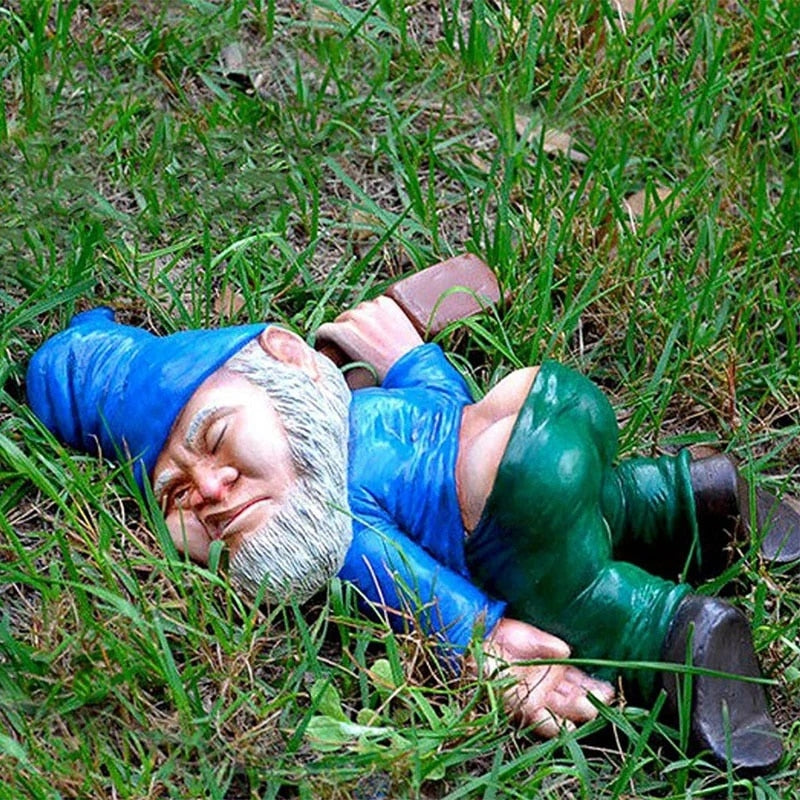 Product Image for Lustige Gartenzwerge: Lebhafte Gartenornamente, Blau / S