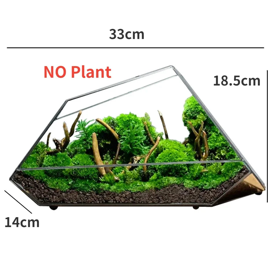 Product Image for Frendorf | Geometrische Glas Moos Pflanztopf Terrarium Vase, B
