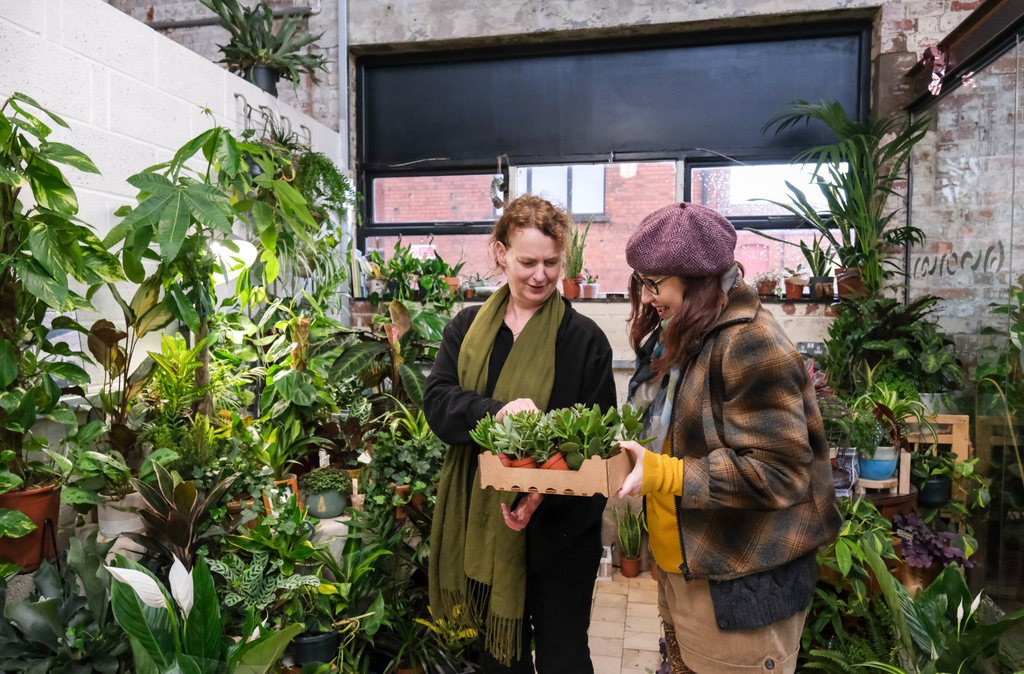 Roisin owner of the green east looking at houseplants