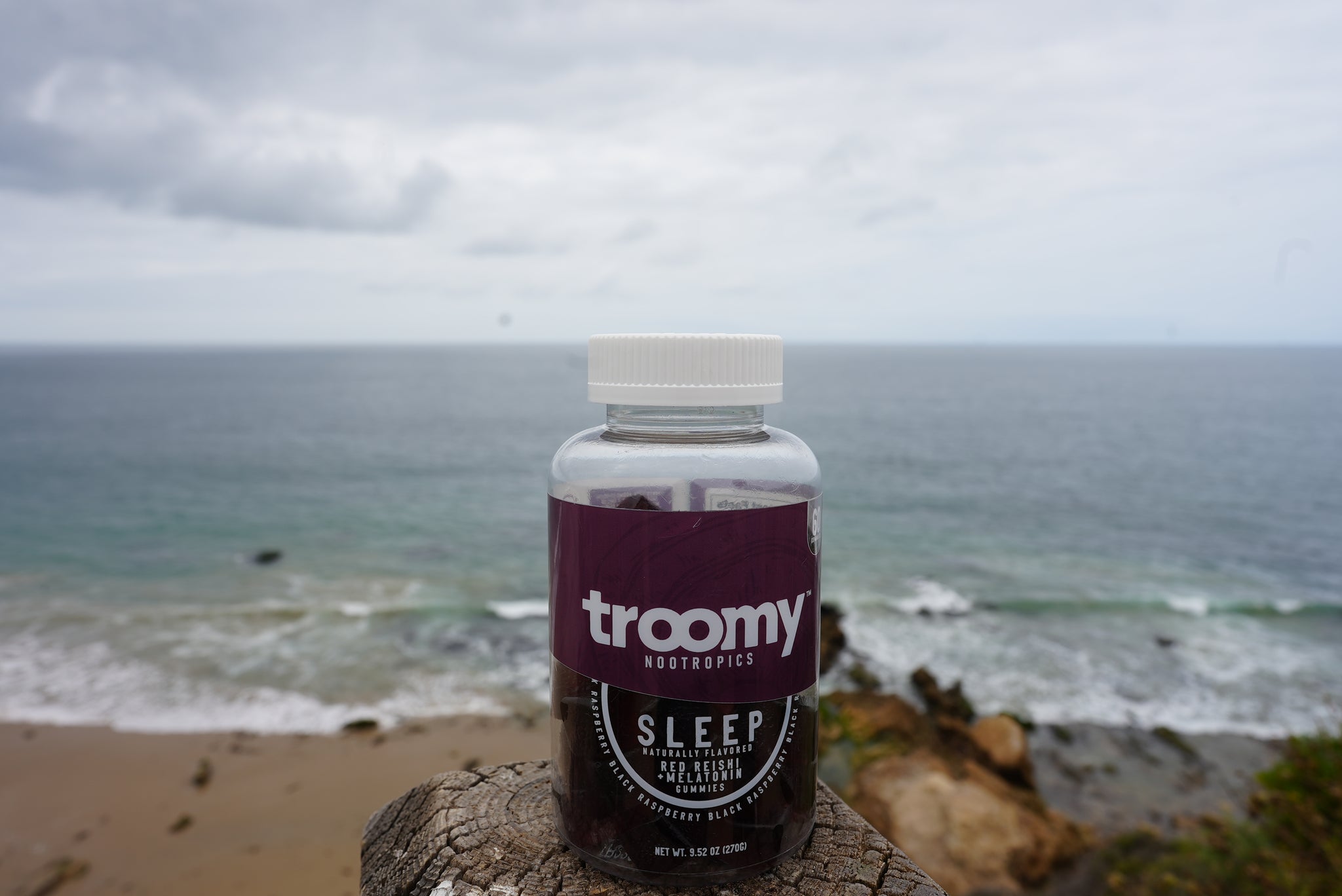 Sleep Mushroom Gummies - Health Benefits - Troomy Nootropics