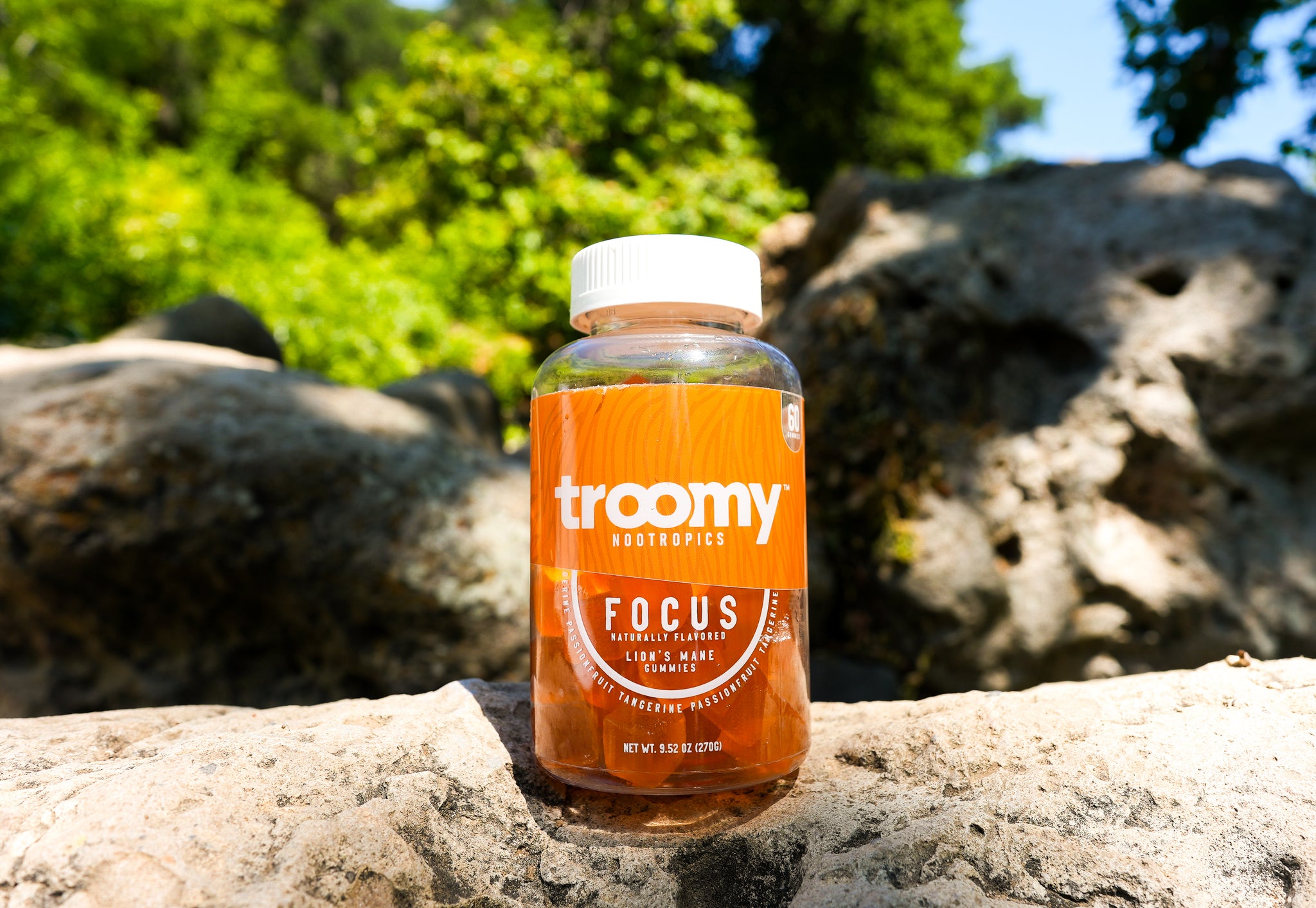 Focus Mushroom Gummies - Health Benefits of Better Cognitive Function in Gaming - Troomy Nootropics