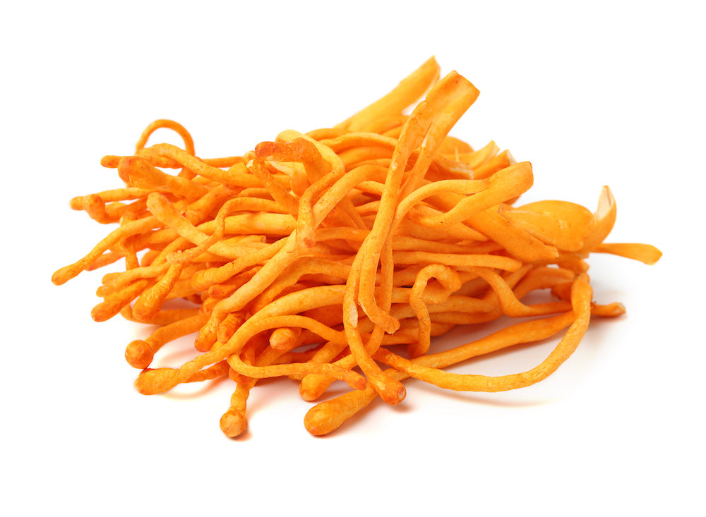 Cordyceps Mushrooms - Troomy Nootropics in Whittier, CA - Cordyceps Boosters