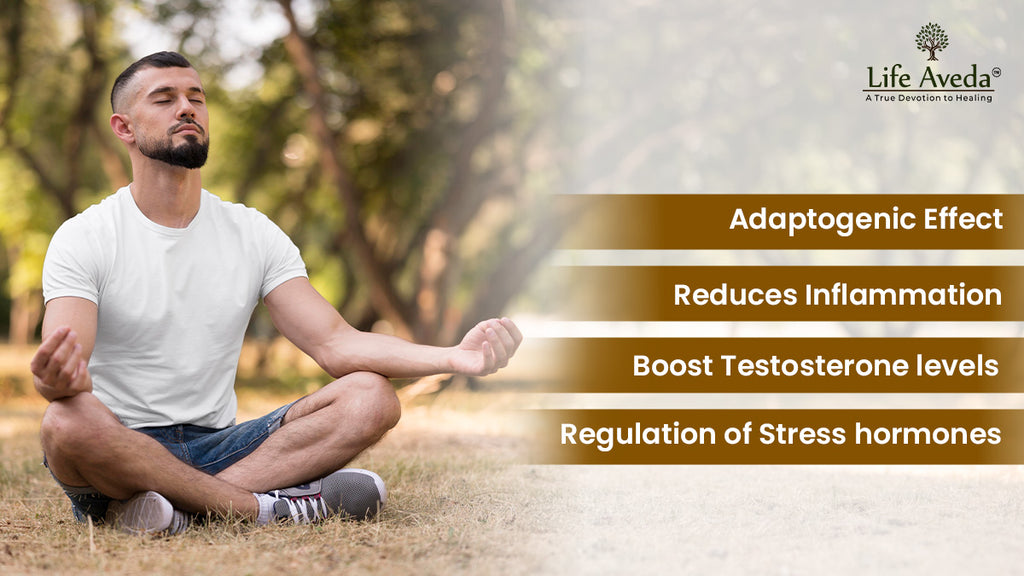 Benefits of Ashwagandha For Stress Relief