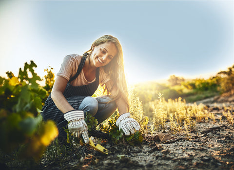 New to Gardening? Here's a Good Place to Start