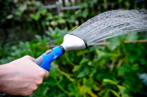 Everything You Should Know About Deep Watering