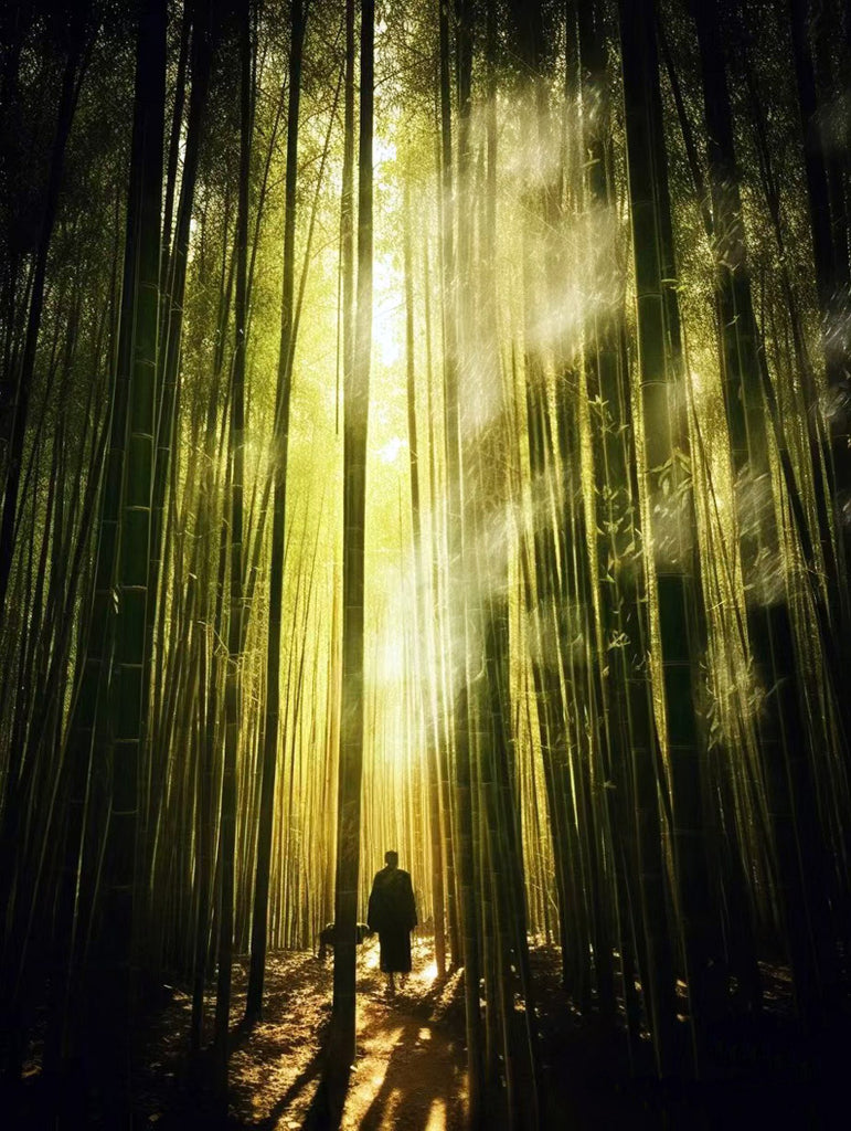 The Wisdom of Bamboo in Zen Culture