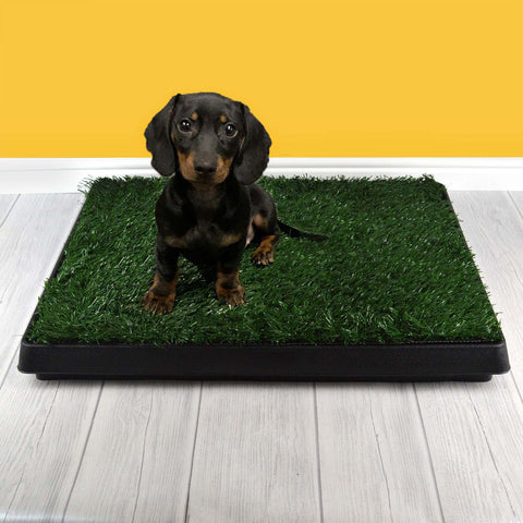 puppy on grass training mat