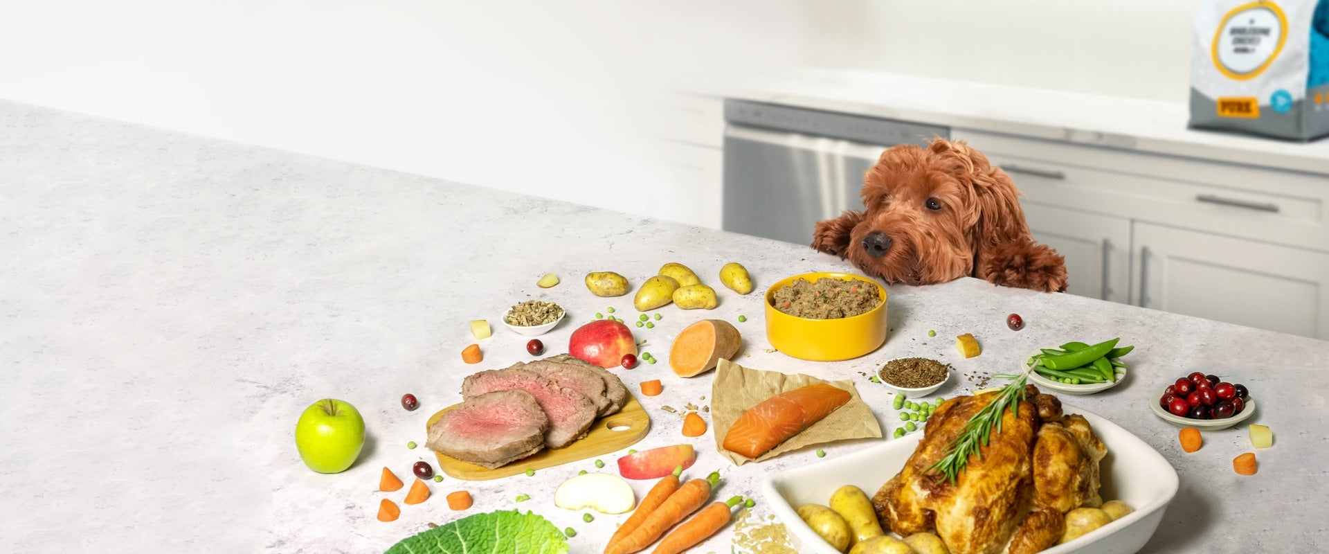 home cooked balanced diet for dogs