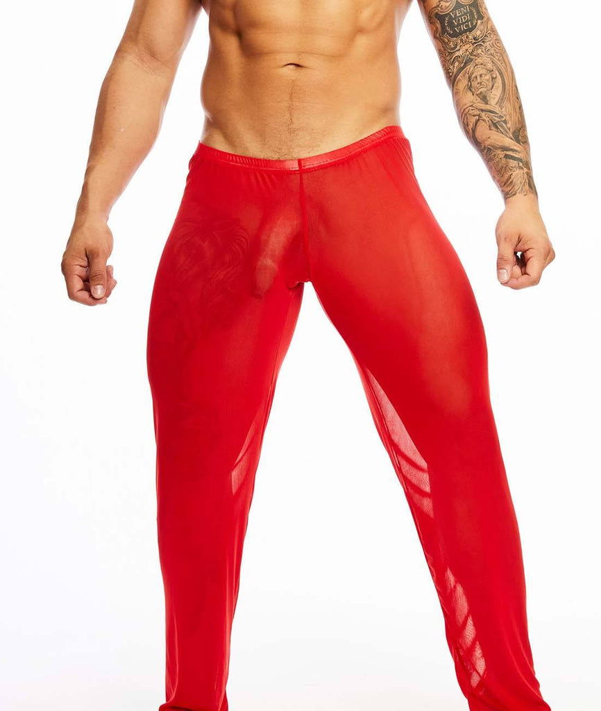 EYIIYE Mens Sheer Mesh Leggings Fitness Tight Long Pants Bottoms Sleep Pants  - Walmart.com