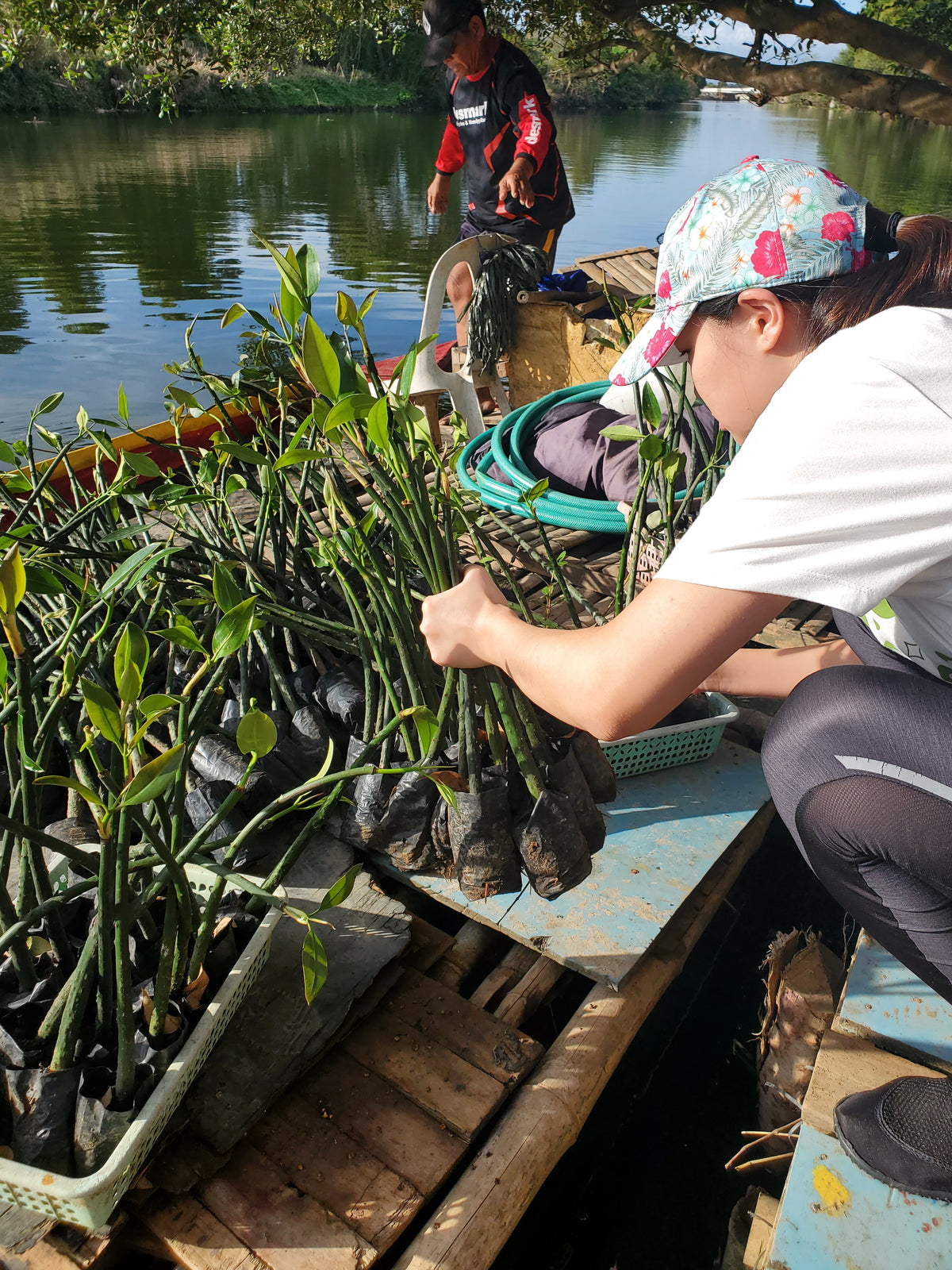President Bea Ashley Tan prepares the Bakawan seedlings for planting