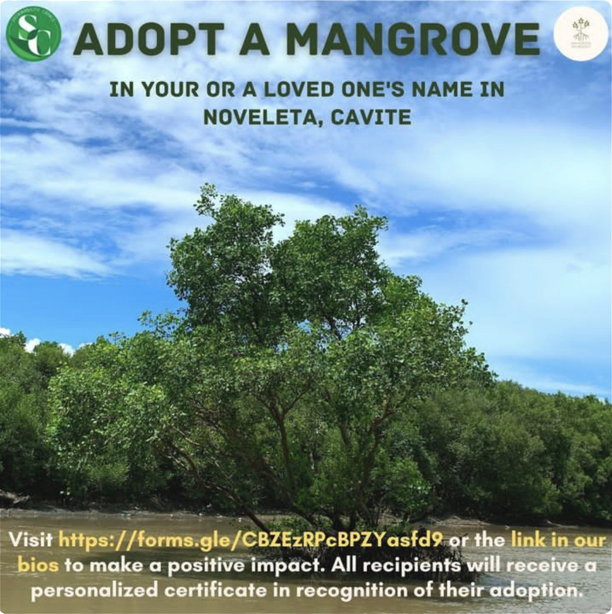 Mangrove Movement Adopt a Mangrove