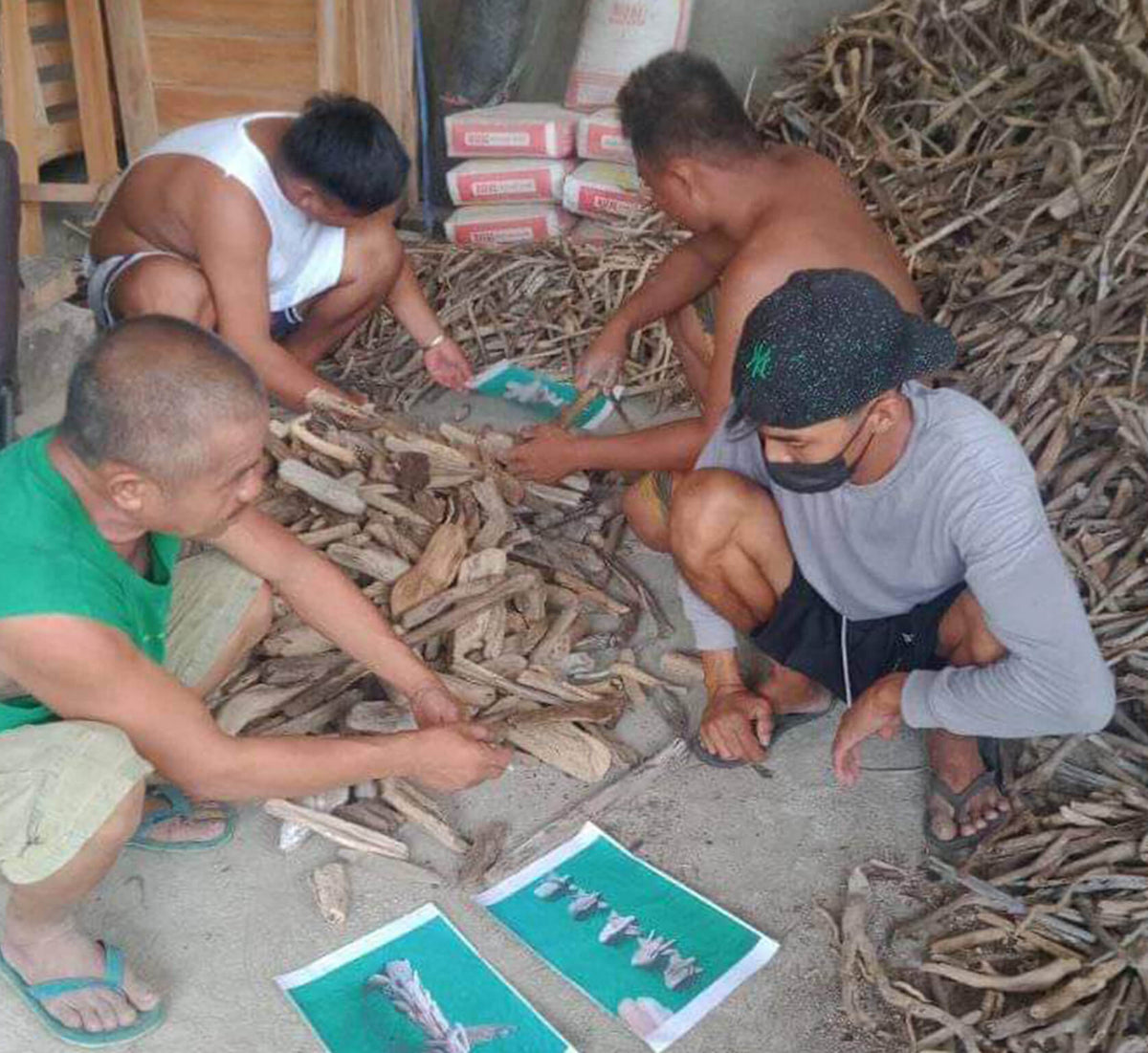Mangrove Movement Supporting the Mangyan Tribe