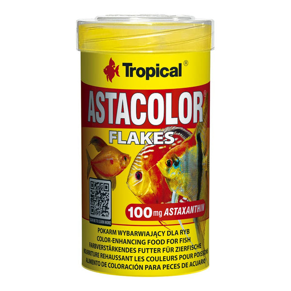 Tropical Goldfish Color Tin, 100g