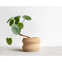Ito Indoor Vase- Natural- Medium