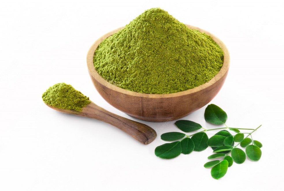 Moringa oleifera