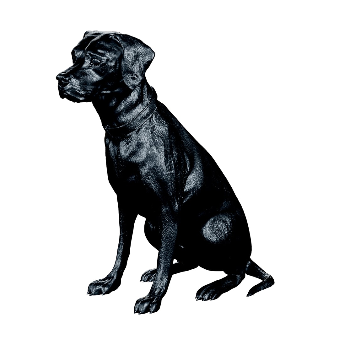 boxer labrador clipart free