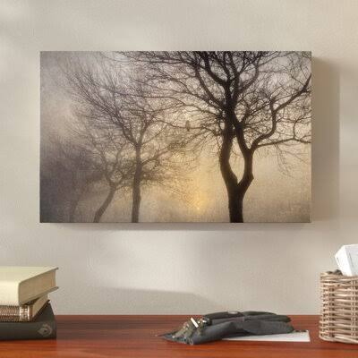 &Mystic Trees with Owl& Photographic Print on Wrapped Canvas Millwood Pines Size: 12x22 H x 19x22 W