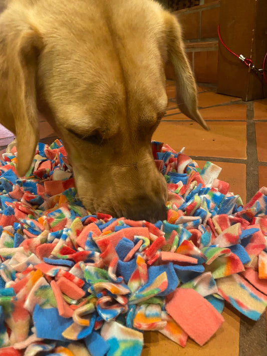 Large Snuffle Mat – Pets Pizzazz