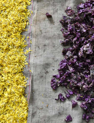 Drying flowers for dyeing silk