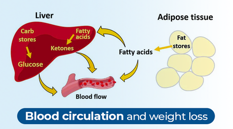 Κλιπ βελονισμού AcuFlow™ Lymphvity Treatment