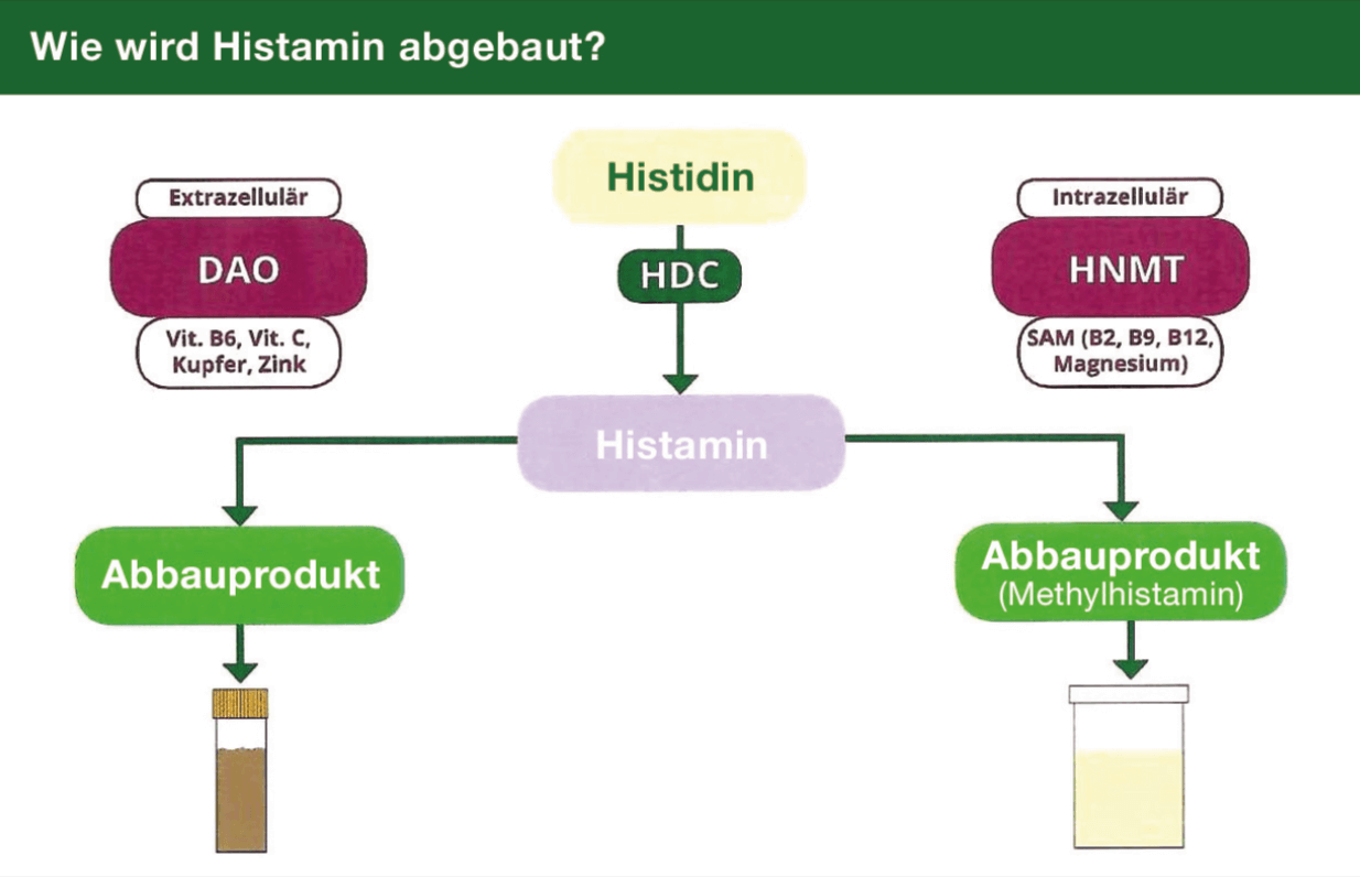 Wirksamkeitsstudie-Curcumin