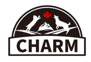 CHARM LOGO-02.webp__PID:e1188639-91ad-4e7f-8597-3c4ece76229c