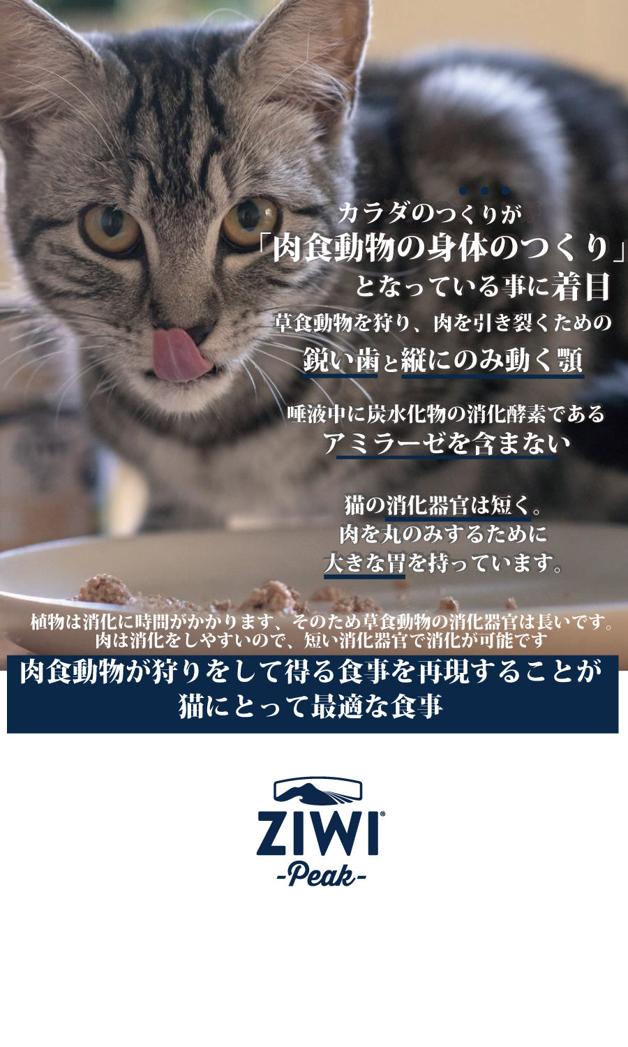 ziwi_cat_can_2.jpg__PID:e28a9b58-5f0e-44d2-967b-b59ccb583450