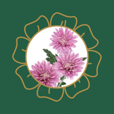 JWB Chrysanthemum